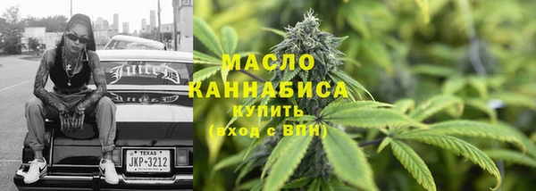 индика Арсеньев
