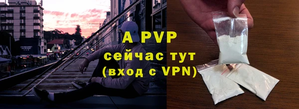 индика Арсеньев