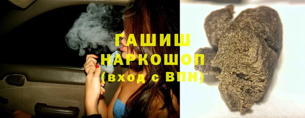 индика Арсеньев