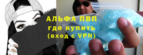 индика Арсеньев