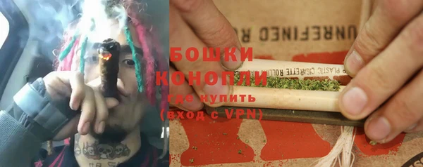 прущие грибы Армянск