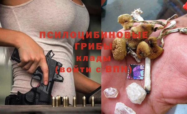 мяу мяу мука Михайловка