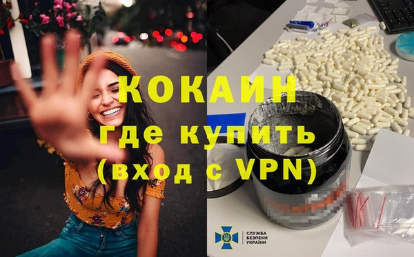 индика Арсеньев