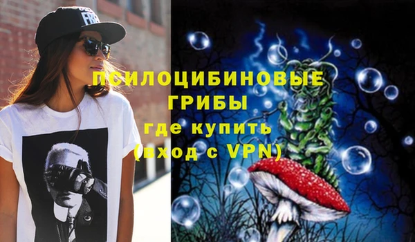 стафф Аркадак