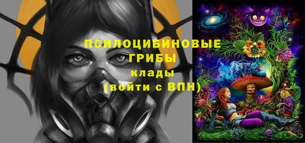 стафф Аркадак