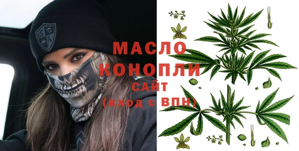 индика Арсеньев