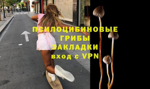 прущие грибы Армянск