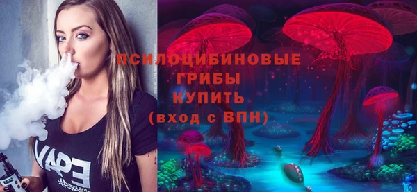 стафф Аркадак