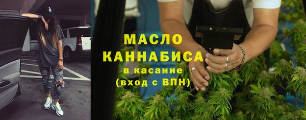индика Арсеньев