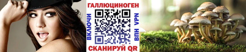 Галлюциногенные грибы GOLDEN TEACHER  сайты даркнета клад  Сорск 
